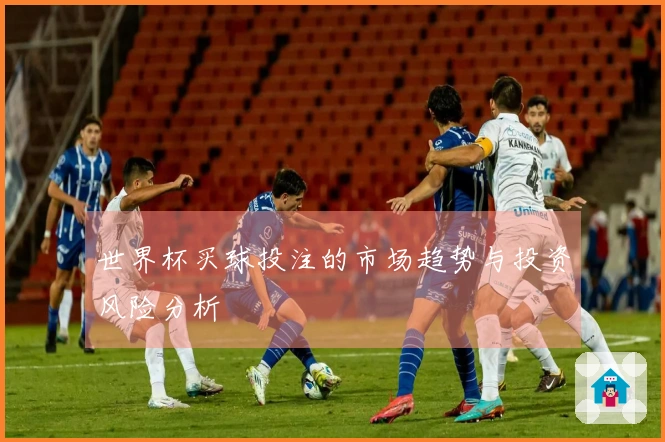 世界杯买球投注的市场趋势与投资风险分析