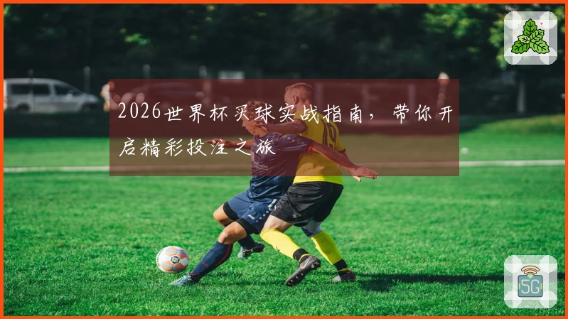 2026世界杯买球实战指南，带你开启精彩投注之旅