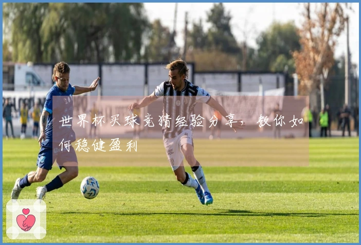 世界杯买球竞猜经验分享，教你如何稳健盈利