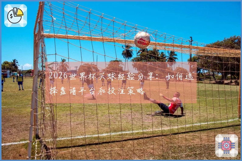 2026世界杯买球经验分享：如何选择靠谱平台和投注策略