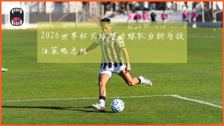 2026世界杯买球潜力球队分析与投注策略总结