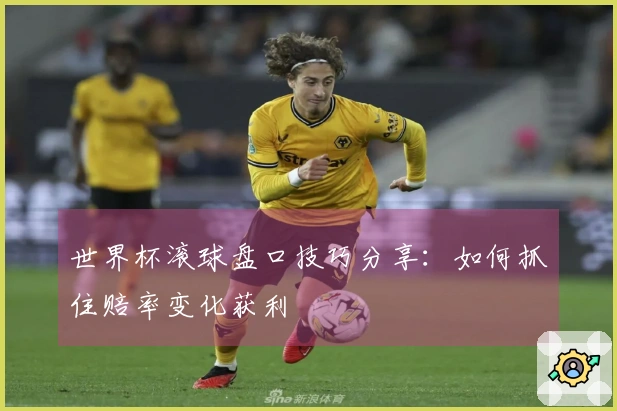 世界杯滚球盘口技巧分享：如何抓住赔率变化获利
