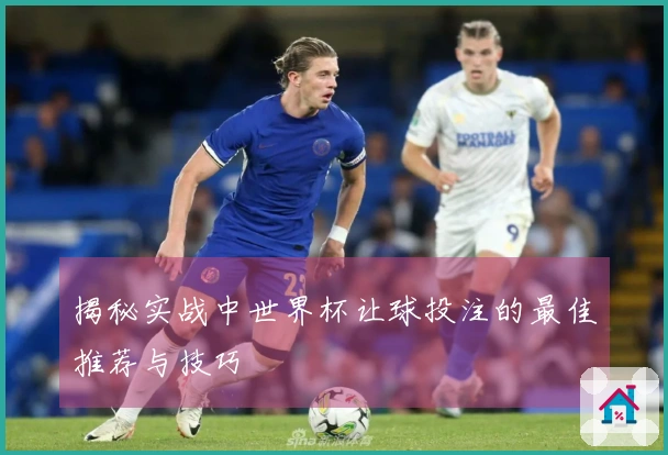 揭秘实战中世界杯让球投注的最佳推荐与技巧